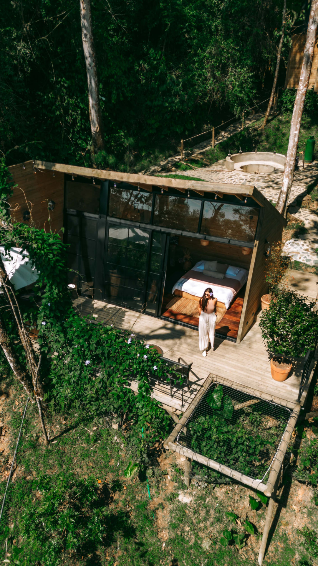 Vista aérea del deck en madera de una cabaña rodeada de vegetación